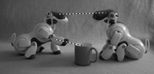 aibo_decl_pointing3gs