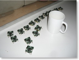 formica swarm